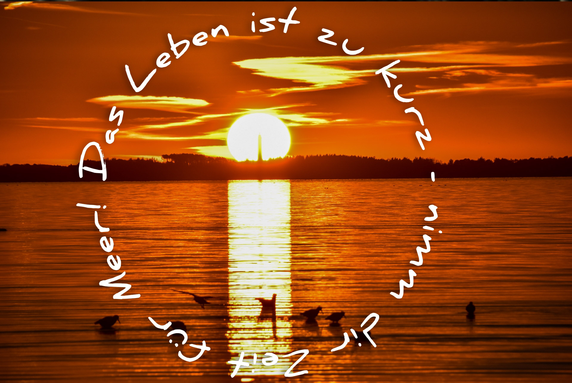 Leben