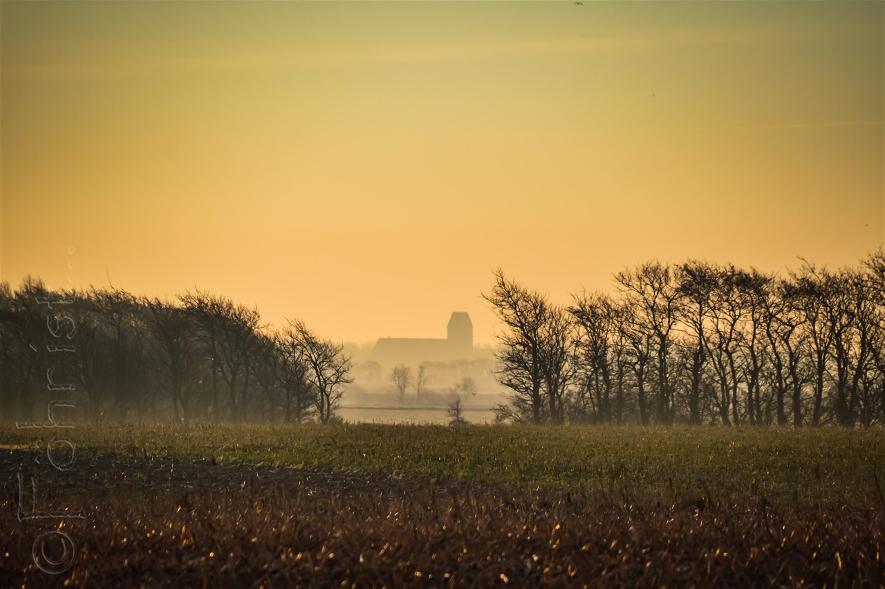 Goldener Friesendom
